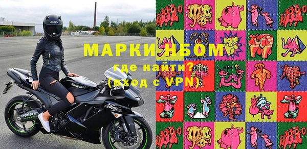индика Алексин