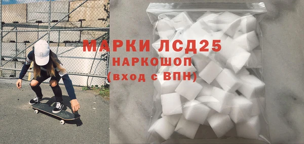 индика Алексин