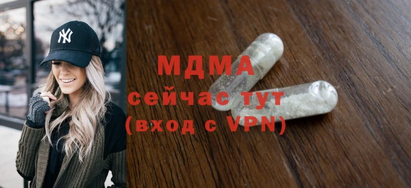 индика Алексин