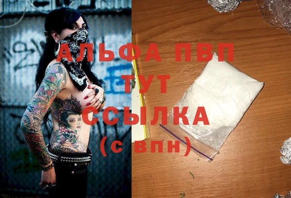 индика Алексин