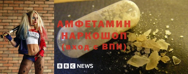 индика Алексин