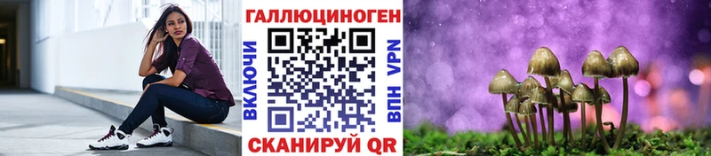 блэк спрут ТОР  Сургут  Псилоцибиновые грибы прущие грибы 