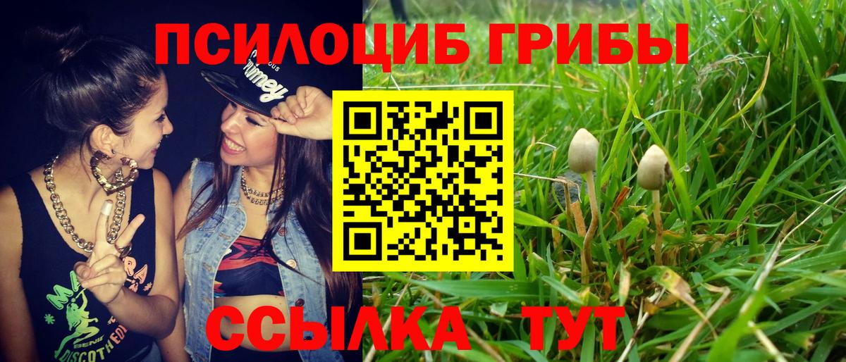 Сургут  Галлюциногенные грибы Cubensis  Вход с VPN 