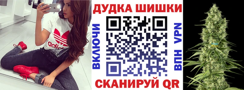 Конопля индика  магазин продажи   omg   Сургут 